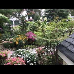 Meet your Posher, Carole